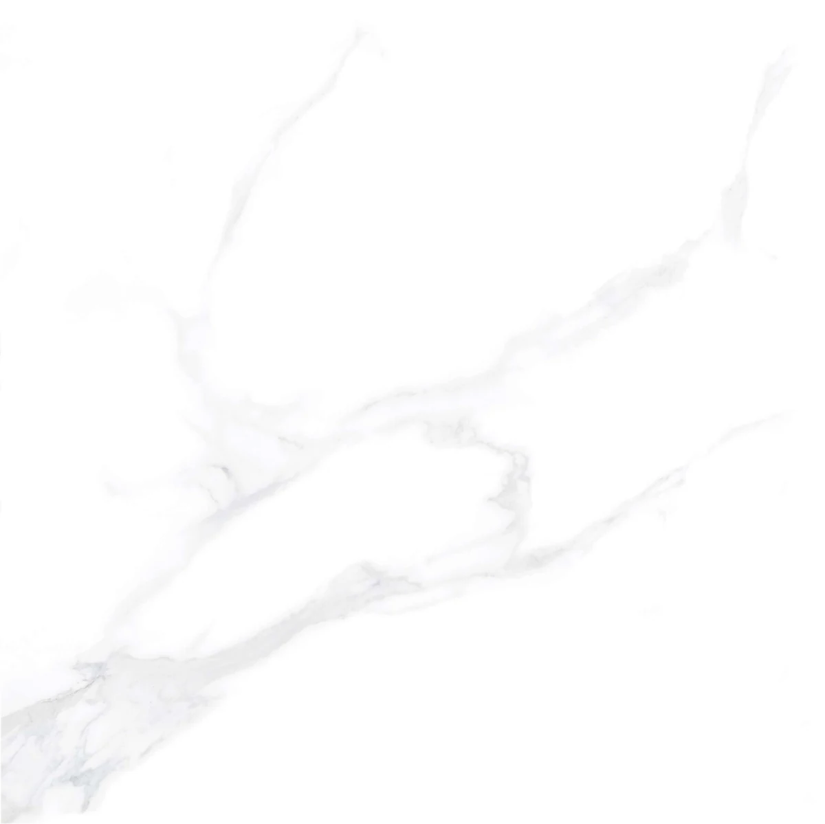 face 6